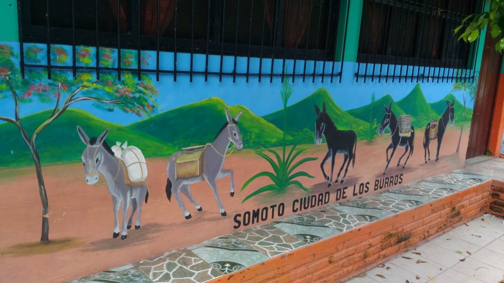 "Somoto takes care of donkeys" - Something to be proud of!