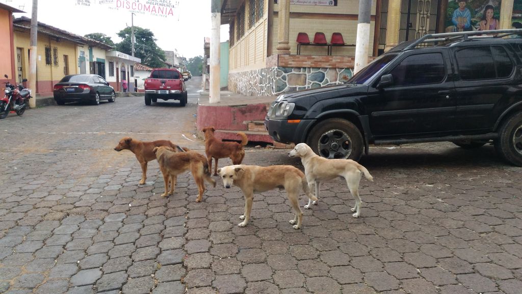 Hey, Guess What: El Salvador Is Actually Pretty Great! - Part 1 24