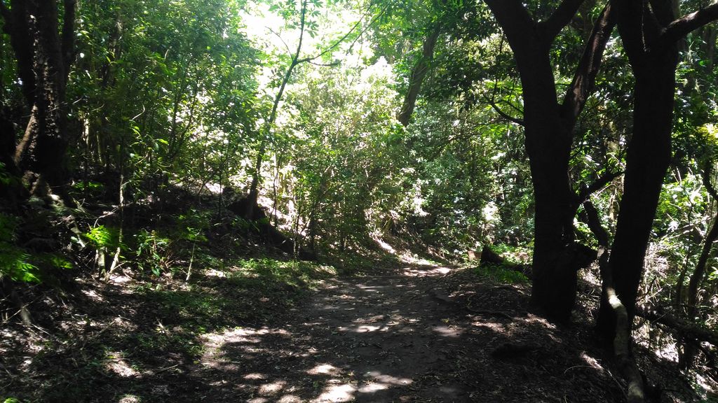 Hey, Guess What: El Salvador Is Actually Pretty Great! - Part 1 12