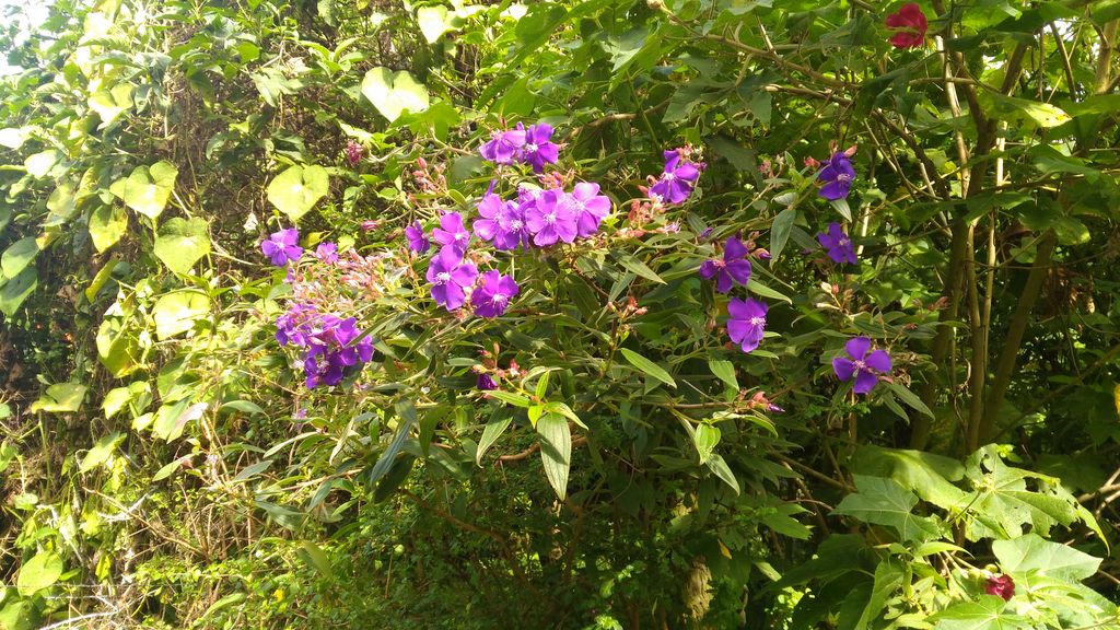 Hey, Guess What: El Salvador Is Actually Pretty Great! - Part 1